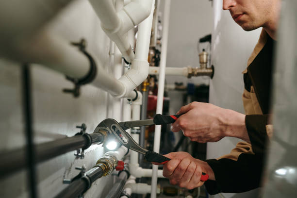 Best Toilet Repair Services  in Warrensburg, IL