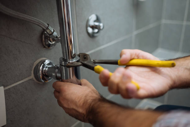 Best Same-Day Plumbing Service  in Warrensburg, IL