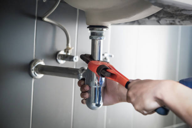 Best Commercial Plumbing Services  in Warrensburg, IL