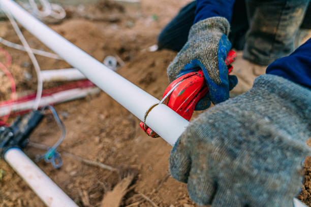 Best Leak Detection Services  in Warrensburg, IL