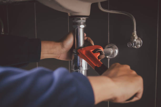 Best Clogged Drain Plumber  in Warrensburg, IL